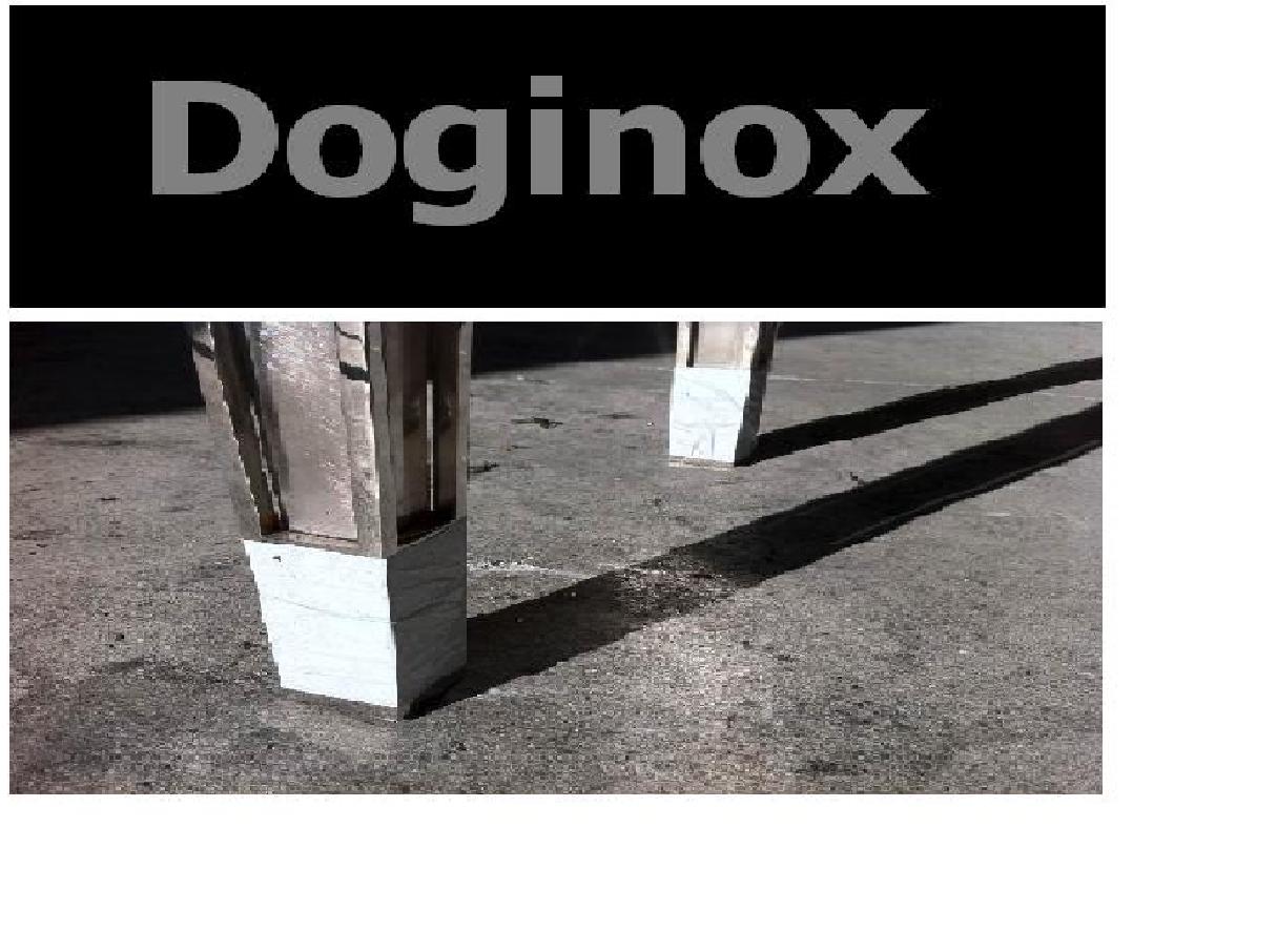 Doginox - Domingos Oliveira Gonçalves